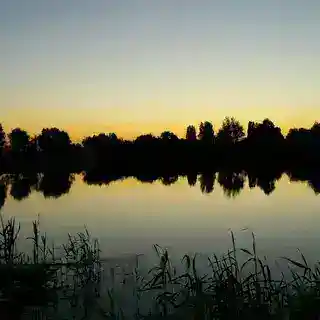 Подробности