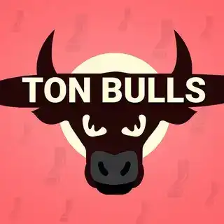 TON Bulls Game