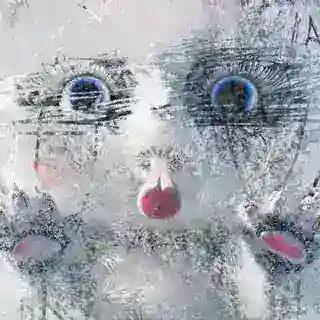 Разморозь Фрайди!