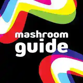 Mash Room Guide