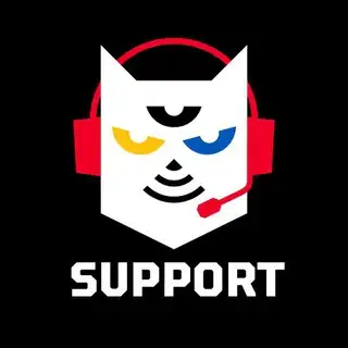 Підтримка РН