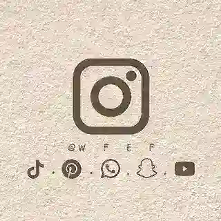 بوت تحميل ستوريات ريلزات انستقرام