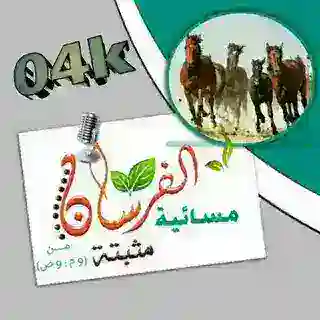 قائمة الفرسان المسائية {{¹⁰𝕜}}