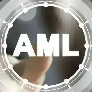 AML Crypto Check | AML Bot