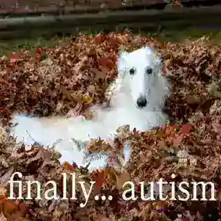 Мьмь