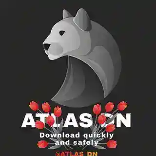 AtlasDN 🐆