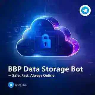 BBP DATA STORAGE