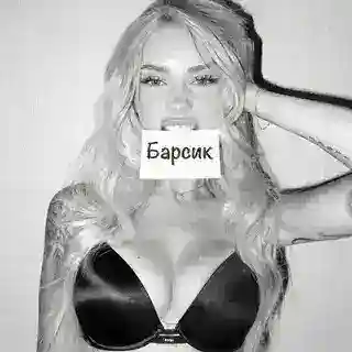 @Барсик