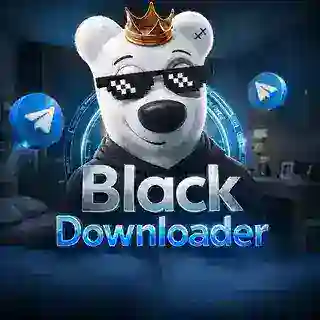 Instagram Downloader | TikTok Downloader | YouTube Downloader