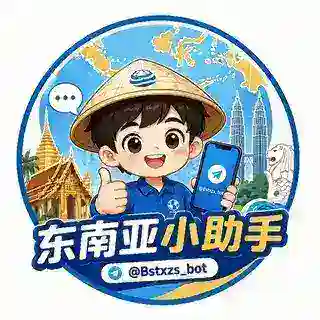 东南亚小助手