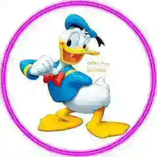 كَركَور
