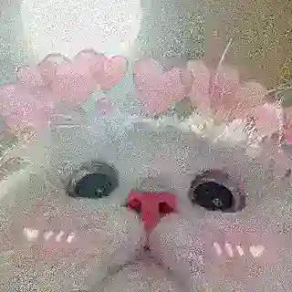 Котя Cards