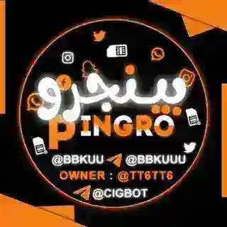 ᯓ 𓆩 ˹ بينجرو - 𝗣𝗜𝗡𝗚𝗥𝗢 ˼ 𓆪