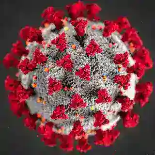 Coronavirus Trentino Bot