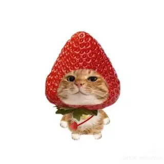 客服小草莓🍓