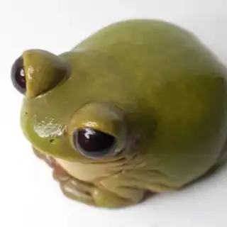 ДВКФ неанон бот