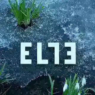 ElleParfumesVITbot