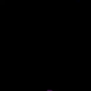 Bot 3