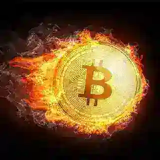 btcForecastBot