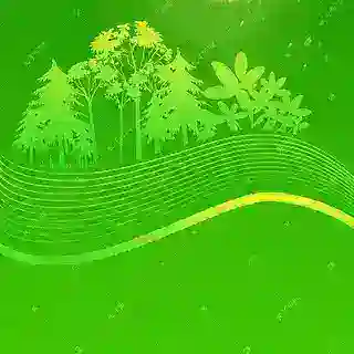 广州紫瑶宫管理员