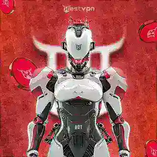 𝐇𝐚𝐬𝐭𝐕𝐩𝐧𝐁𝐨𝐭