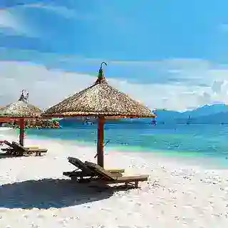 海南管理组