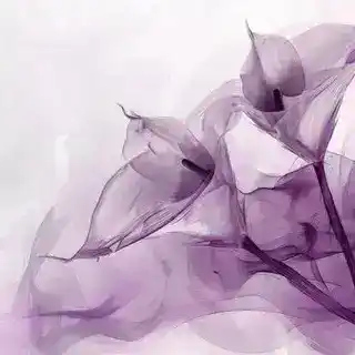 ୨𐍸᷍𑁀୧HELP𝓑𝓸𝓽 ֵ۫⏝۠۠〬#RS