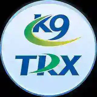 0.5TRX转U能量机器人（正常运营）