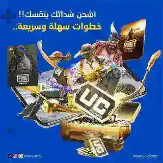 بوت شحن شدات ببجي