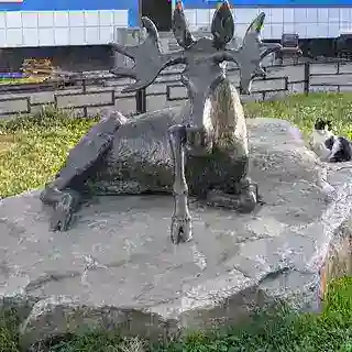 Support_bot