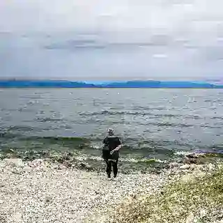 Предложить новость