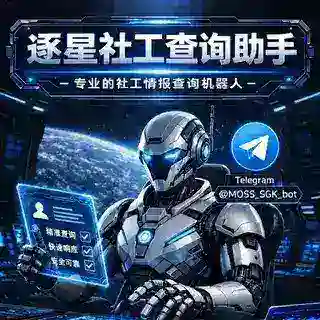 逐星 社工查询助手