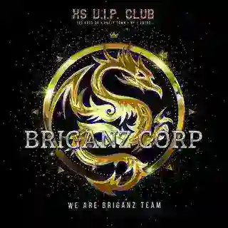 MPPS BRIGANZ CORP
