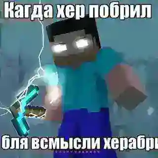 Майн Фд тейк бот¡
