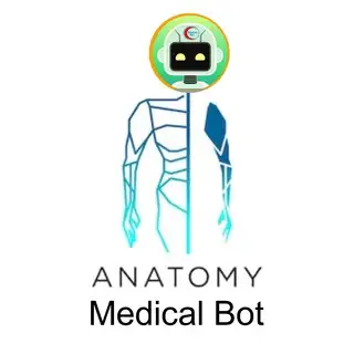 Anatomy &amp; Embryology |💀| علم التشريح والأجنة
