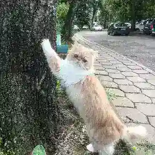 Неанонимные тейки ннкф