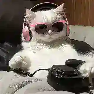 NoiNoi_Bot || All in one downloader || Instagram FB Youtube ..