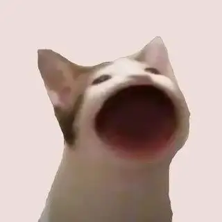Pop Cat Airdrop 😺