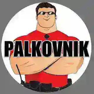 Palkovnik Bot