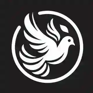 Pigeon 🐦