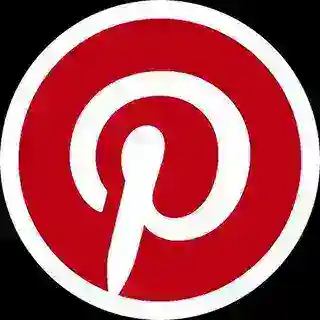 Pinterest Search ☘️