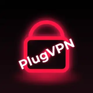 PlugVPN