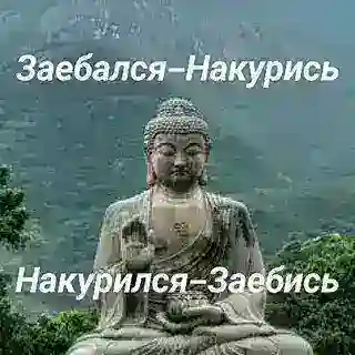 Похуй тейки