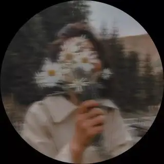 Nᴏᴠᴀ 🌺