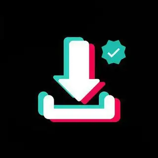 Download TikTok Instagram