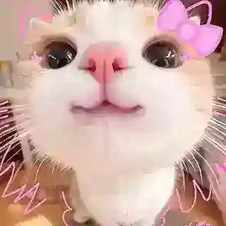 𓄂─⃛𓆩🫧𝆺𝅥⃝𐏓𝐒‌ʏηᴧx 𝐁‌ᴧʙʏ㋛𓆪꯭⵿٭🍃