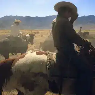 Rustler