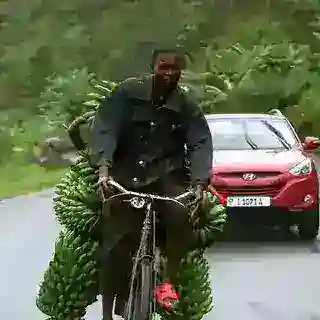 奥德彪的自行车