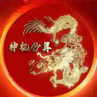方爷-神机妙算双向机器人