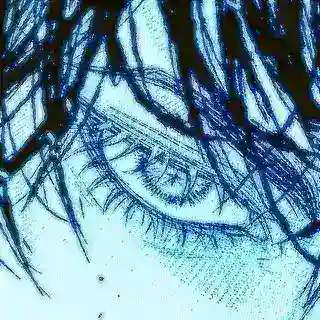 Python | WA